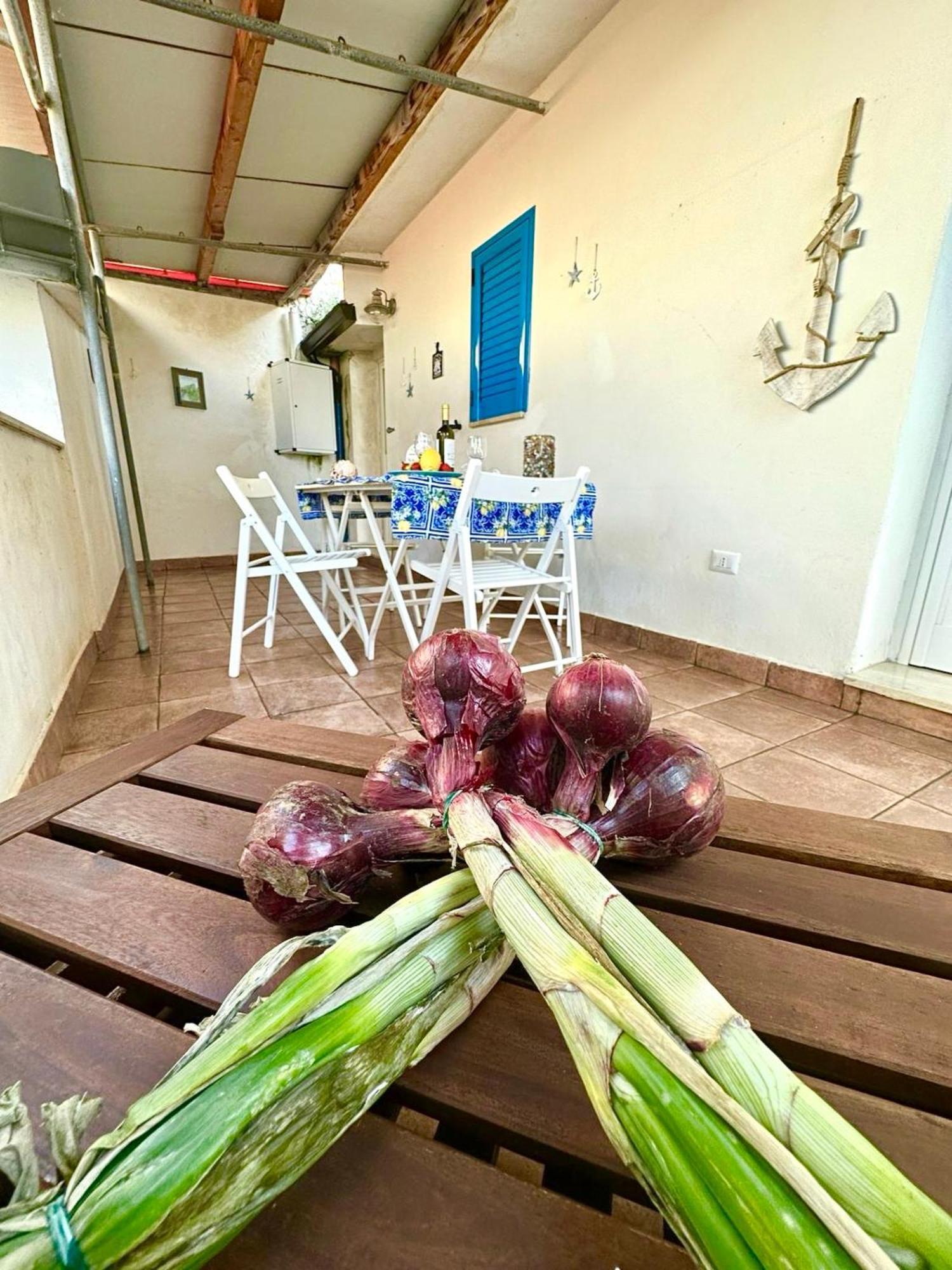 Dilettaanna Apartment With Private Garden Tropea Exterior foto
